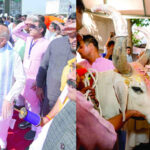 अहमदाबाद में पेंच लड़ाते दिखे अमित शाह, मंदिर में नाती संग की गौमाता की पूजा