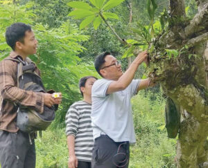 सिरिसे गांव देसी ऑर्किड संरक्षण का बना मॉडल